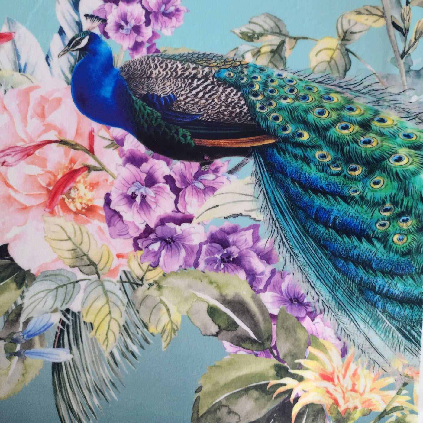 teal velvet peacock cushion with floral print 45cm square