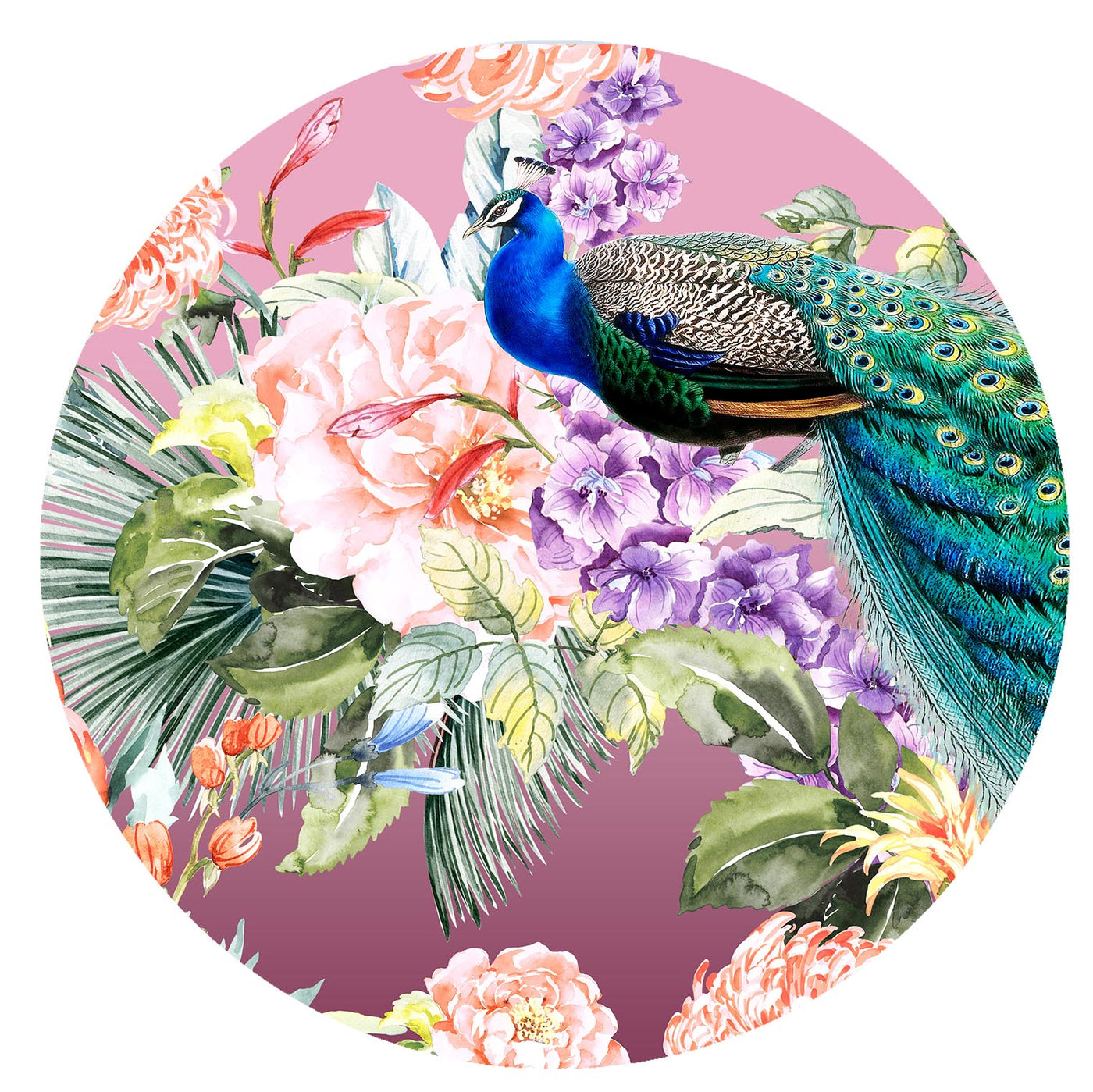 Peacock Paradise in pink velvet closeup